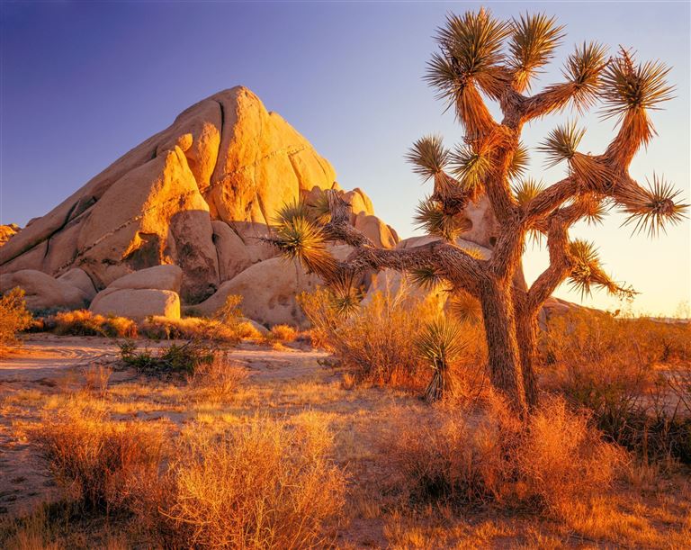 Western Triangle ©Ron and Patty Thomas/istock